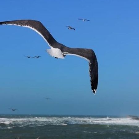 אסאוירה Villa L'Oiseau Bleu מראה חיצוני תמונה