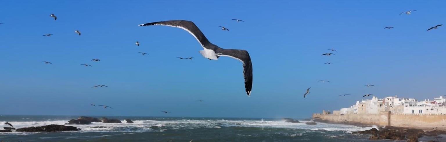 אסאוירה Villa L'Oiseau Bleu מראה חיצוני תמונה